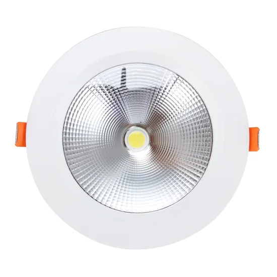 Recessed Down Light 30W COB Led Downlight