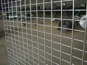 Hot dipped 2x2 galvanized welded wire mesh panel and roll