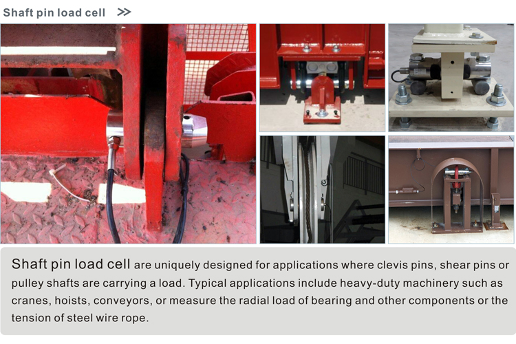 GPL502 load cell