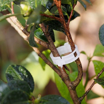 Black/White Tomato Support Fixing Plastic Clip