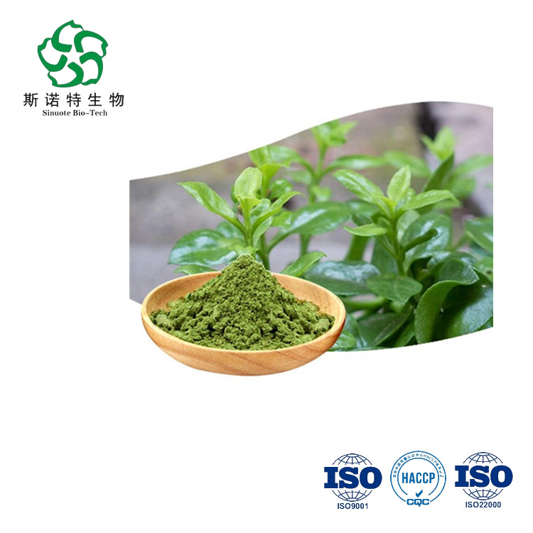 Andrographis Paniculata Extract