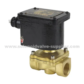 Explosion Proof Solenoid Valve 
