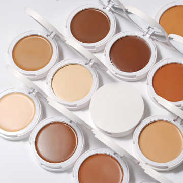 13G Repair Moisturizer Foundation Cream - Natural Mineral Makeup with Concealer and BB Cream