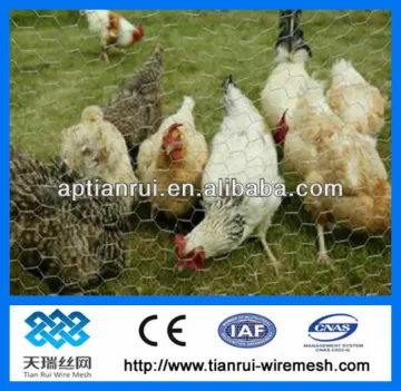 chicken wire netting/pvc coated chicken wire mesh/pvc coated and galvanized hexagonal wire mesh