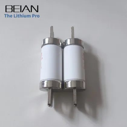 Hudson 200A DC800V Electric Car Fuse