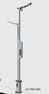 Smart City Smart Outdoor Lights