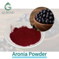 Высушенный распылением порошок аронии для приготовления функциональных пищевых продуктов