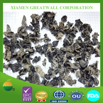 Dried black fungus mushroom black back (Agaric mushroom)