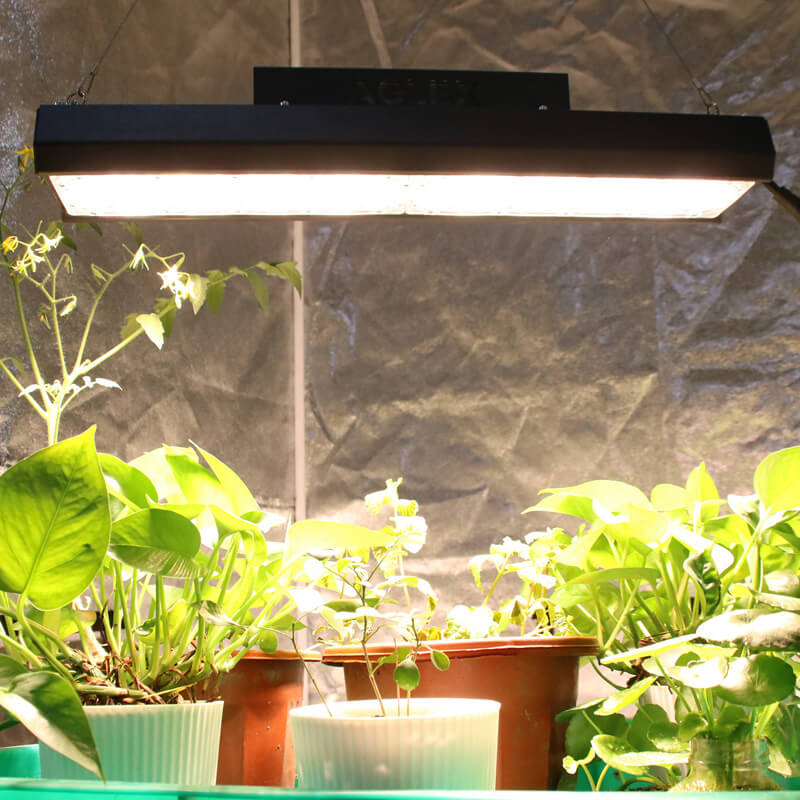 Single Grow Light LED 110W Untuk Ruang Kompak