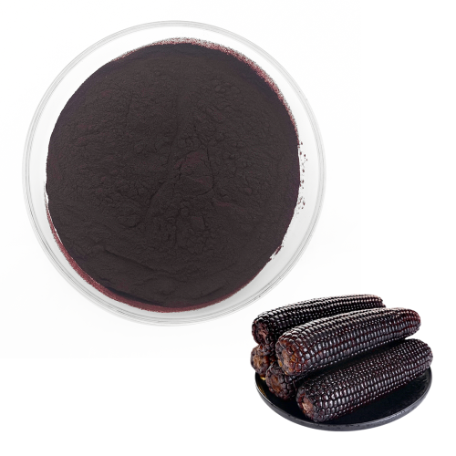 Purple Corn Extract 10% 25% Anthocyanins