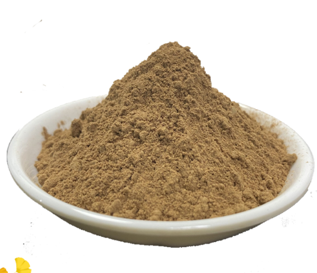 Herb Ginkgo Biloba Extract Powder With Special Price