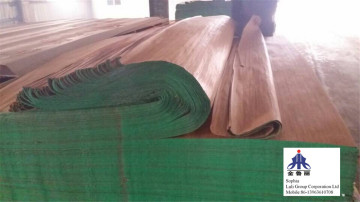Engineer Keruing Veneer
