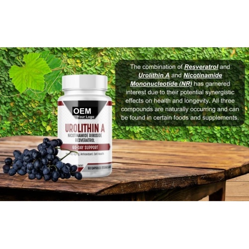 Private Label Urolithin A Capsules for Energy Supplement