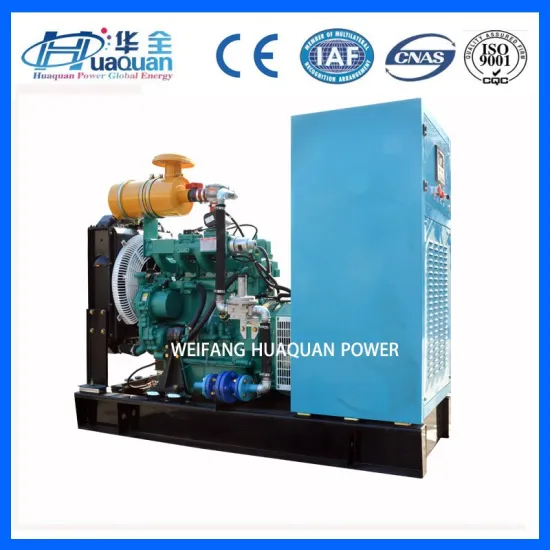 CE approved 30kW natural gas/biogas generator power plant