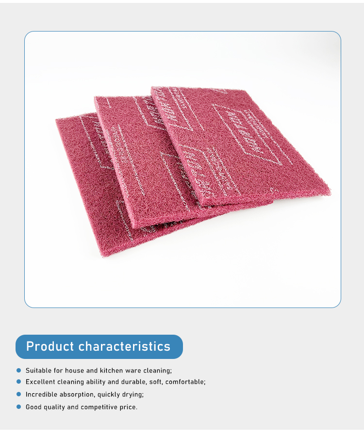 Scouring Pad