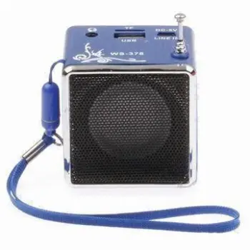 Portable Speaker with FM Radio
