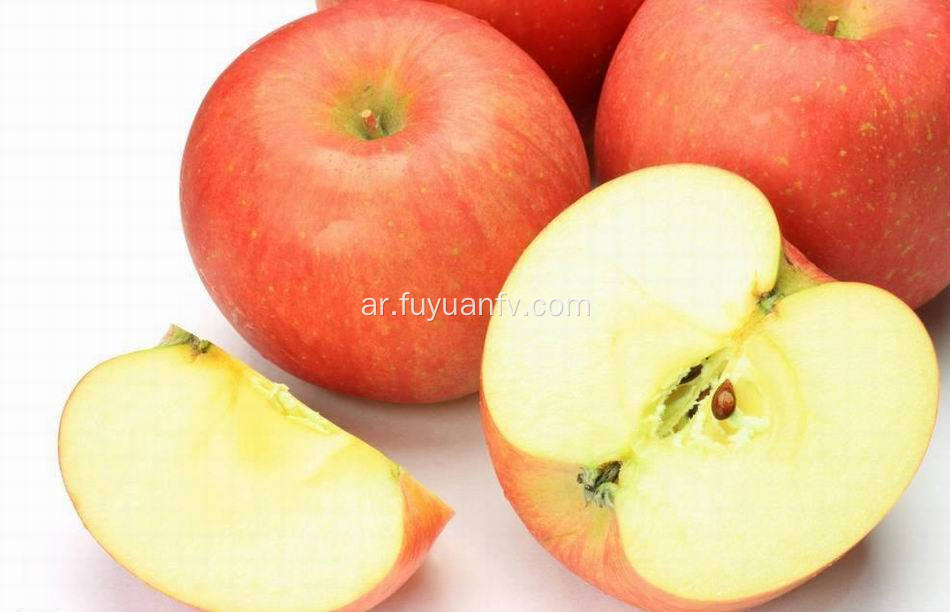 2018 تفاح Qinguang جديدة طازجة ذات جودة عالية