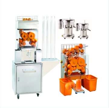 Small Scale Fruit Juice Extraction Machine for Lemons, Oranges, and Pomegranates in Turkey