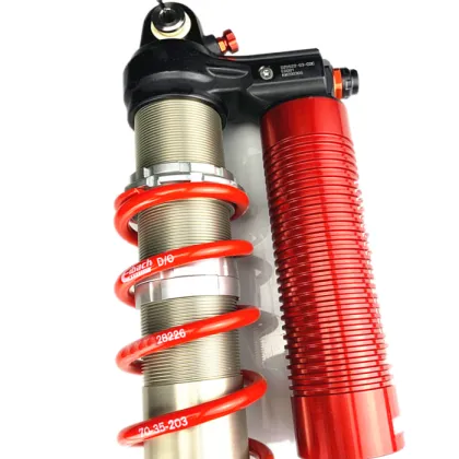 Advanced Desert Racing Coilover Suspension with Eibach Springs - 4-Way Adjustable