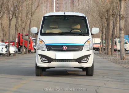Shaanxi Tongjia Dianniu No.2: New Energy Electric Cargo Vans