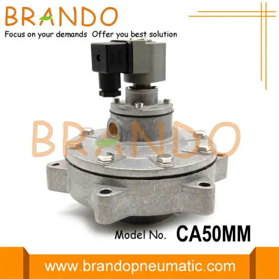 CA50MM Full Immersion Pulse Jet Valve 2'' AC220V
