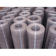 Galvanized Welded wire mesh