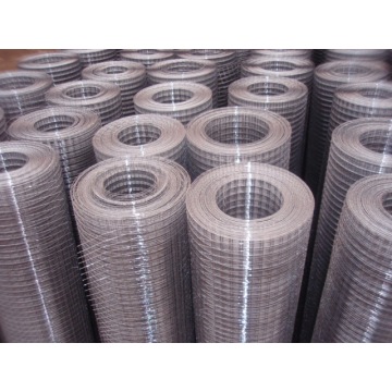 Galvanized Welded wire mesh