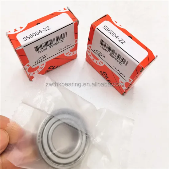 SS6004ZZ 20x42x12mm Stainless Steel Bearing - Hot Sales