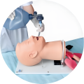 Advanced Airway Management Manikin