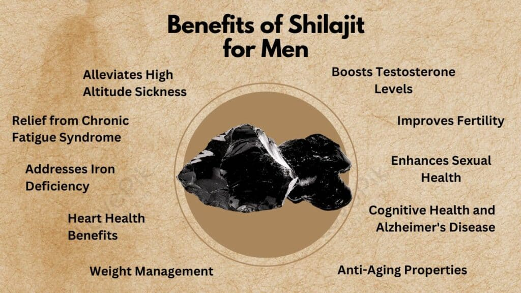 shilajit benefit