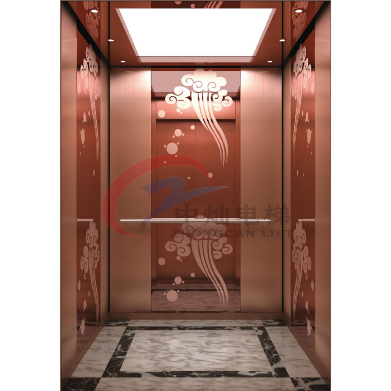 Popular Modern Home Elevator