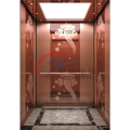 9 m Home Elevator Lift