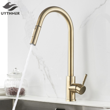 Brushed Gold Kitchen Faucet Hot And Cold Water Mixer Faucet For Kitchen Pull Out Mixer Crane 2 Function Spout Water Mixer
