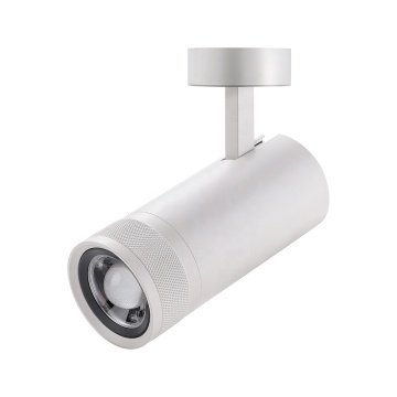 Commercial LED Track Lighting System: 2700K-4000K 220V Cob Spot Lights