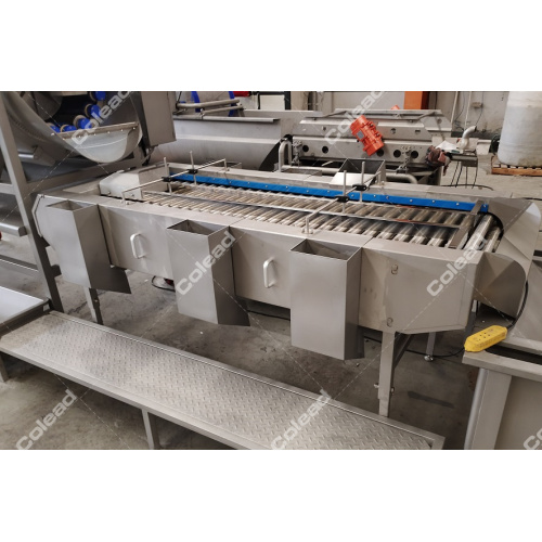 Roller Selection Inspection Station for processing line