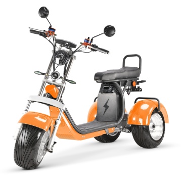 US/UE Warehouse Hot Sale: Triciclo elétrico com corpo fechado - CityCoco EEC compatível