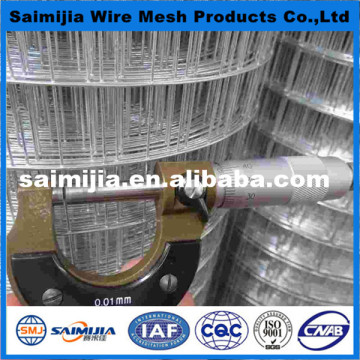 galvanized & PVC Coated & Black &Stainless steel welded wire mesh (panel)