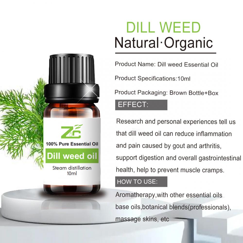Wholesale Price Dill Weed Oil Organic