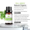 Wholesale Price Dill Weed Oil Organic