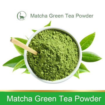 Organisk matcha grönt te -pulver