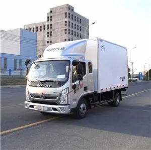 4.2m freezer truck