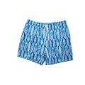 Quick Dry Stretch Printing Men's Beach Shorts