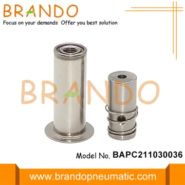 BAPC211030036 RO SV Solenoid Valve Armature