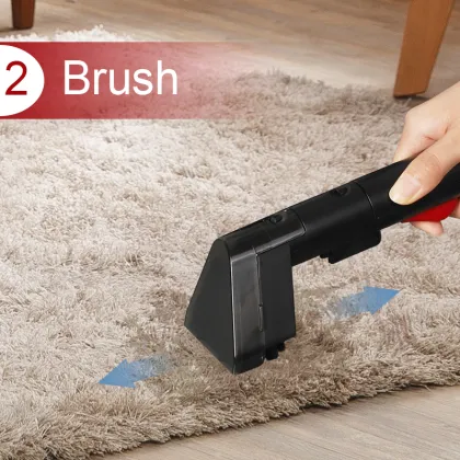 2024 Factory Supplier Wet Vacuum Cleaner for Mattress, Carpet, and Sofa Stains