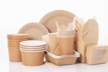 a Bowl-Shaped Container Pepar Bowls Bamboo Fiber Cup