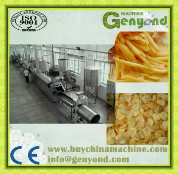 french fries frying line