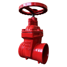 Customizable Grooved Gate Valve