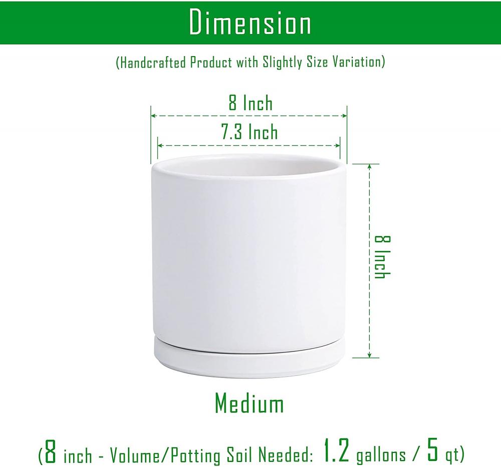 Cylindre intérieur Planter Round Planter