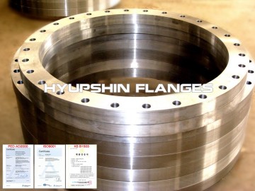 PN10 DIN2576 PLFF FLANGE