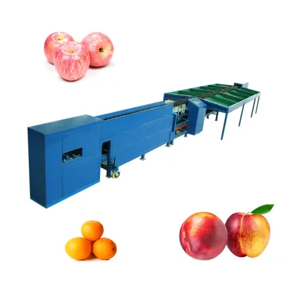 China Automatic Electronic Fruit Weight Sorting Machine - Fruit Weight Grader